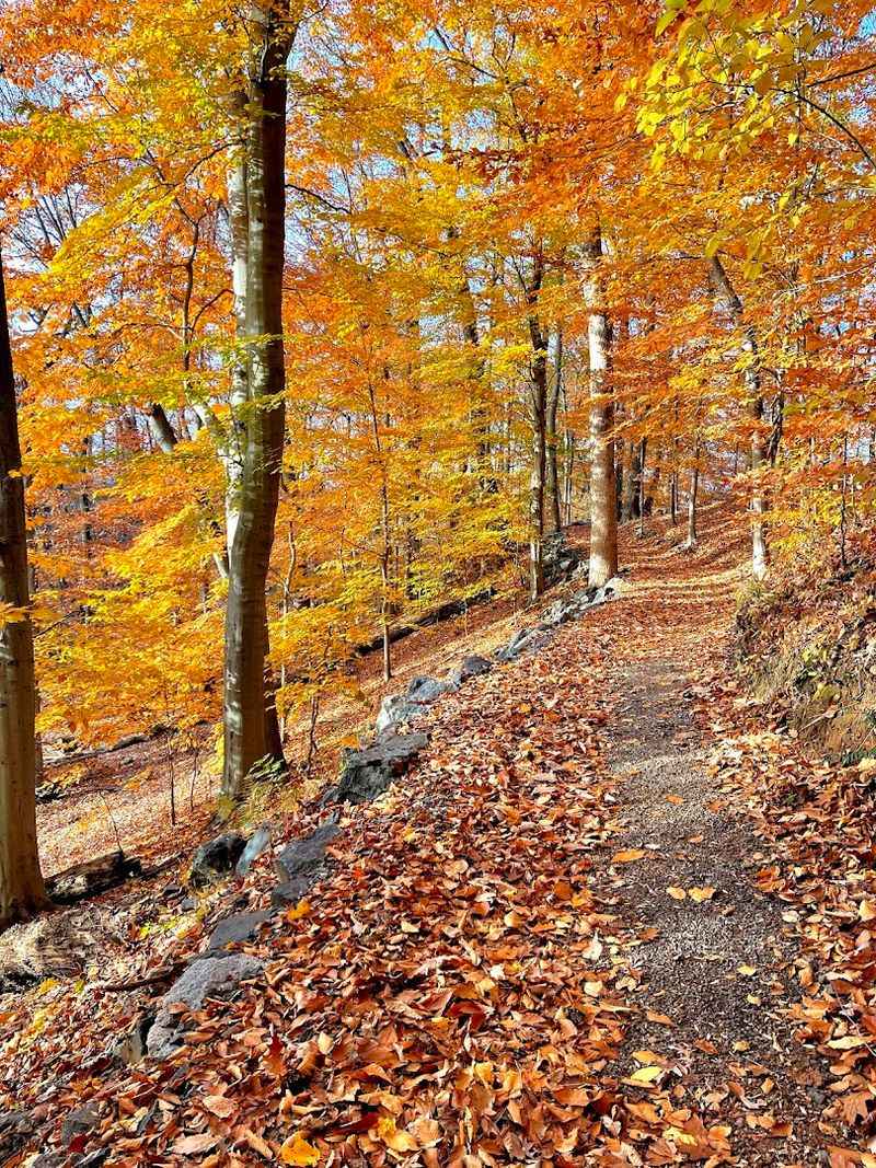 Hiking Trails That Go Beyond a Simple Stroll