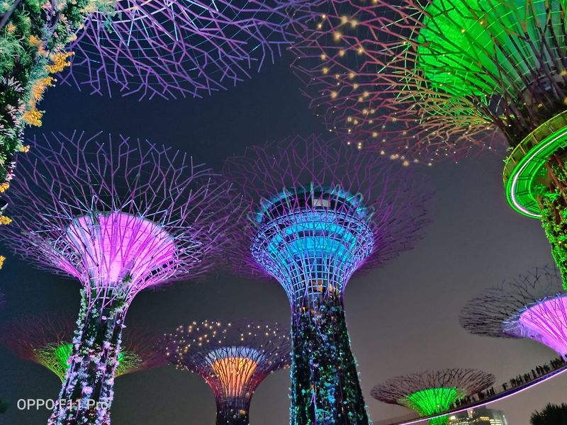 Gardens by the Bay — Singapore