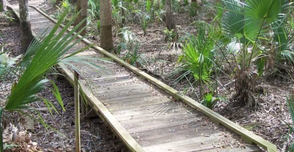 2026’s Must-Try Florida Hikes That Don’t Require a Single Permit