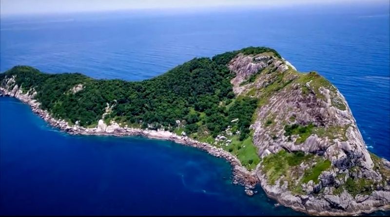 Ilha da Queimada Grande (Snake Island) — Brazil