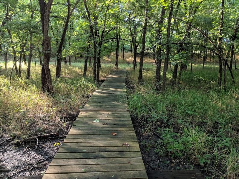 The Trail Network and How to Navigate It