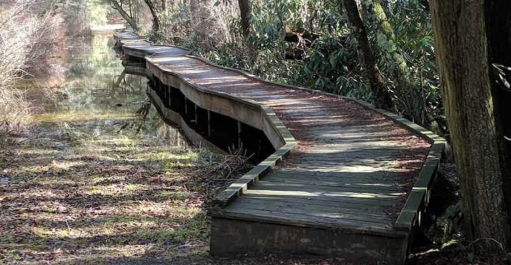 9 Easy New Jersey Trails Even First-Time Hikers Can Enjoy This Spring