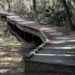 9 Easy New Jersey Trails Even First-Time Hikers Can Enjoy This Spring