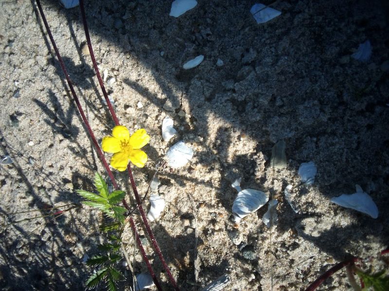 Hiking Trails That Feel Like a Fairytale Forest