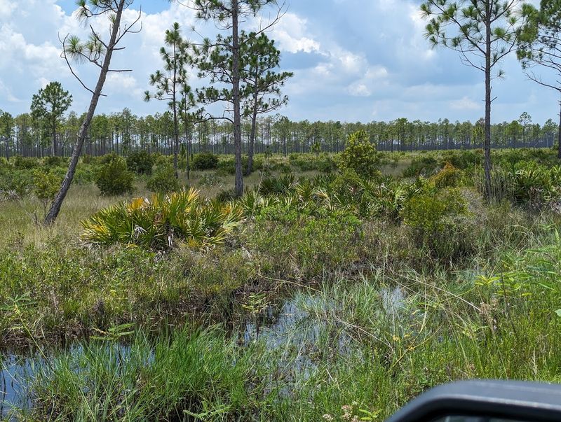 The Sheer Scale of the Land