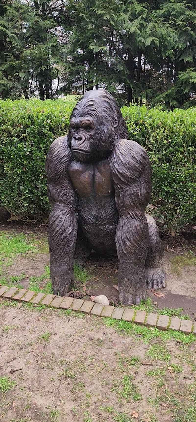 Wild Visitors That Show Up on Their Own: Real Wildlife in the Garden