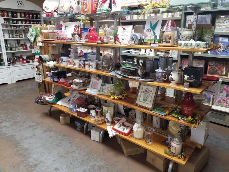 Practical Tips to Make the Most of Your Visit