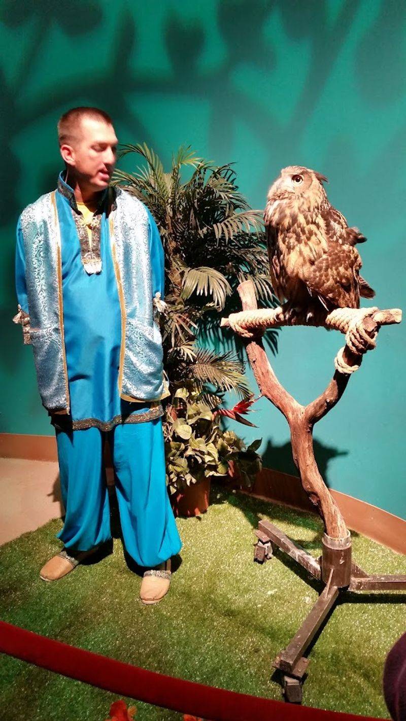 The Animal Stars of the Show