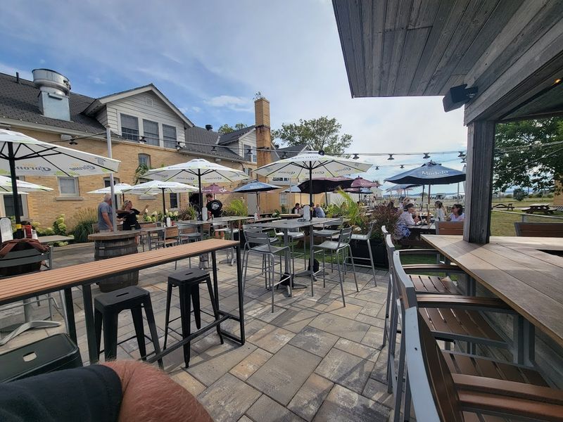 Dog-Friendly Policy That Goes The Extra Mile