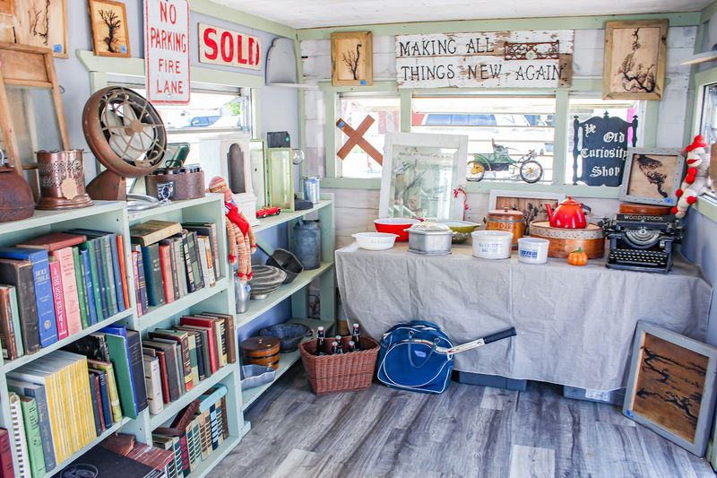 Expect a Lively, Social Atmosphere