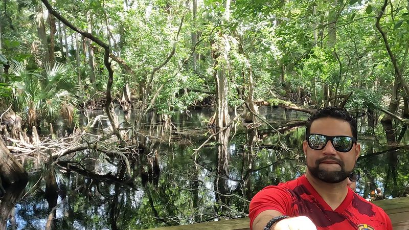 Perfect for All Ages and Group Sizes