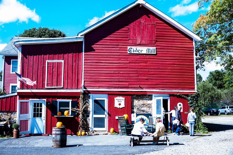 Planning Your Visit: Practical Tips