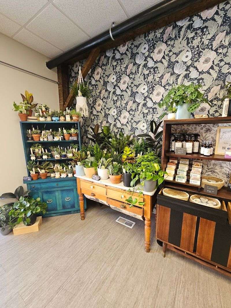 First Impressions Inside