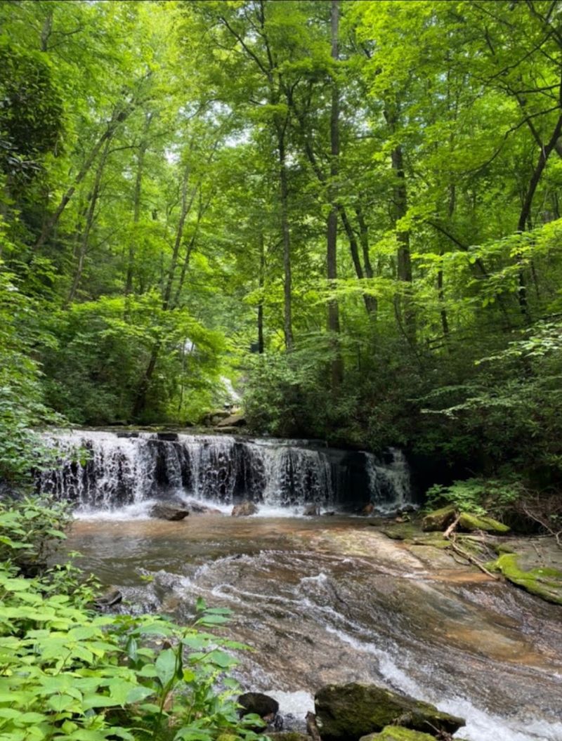 When to Visit for the Best Experience