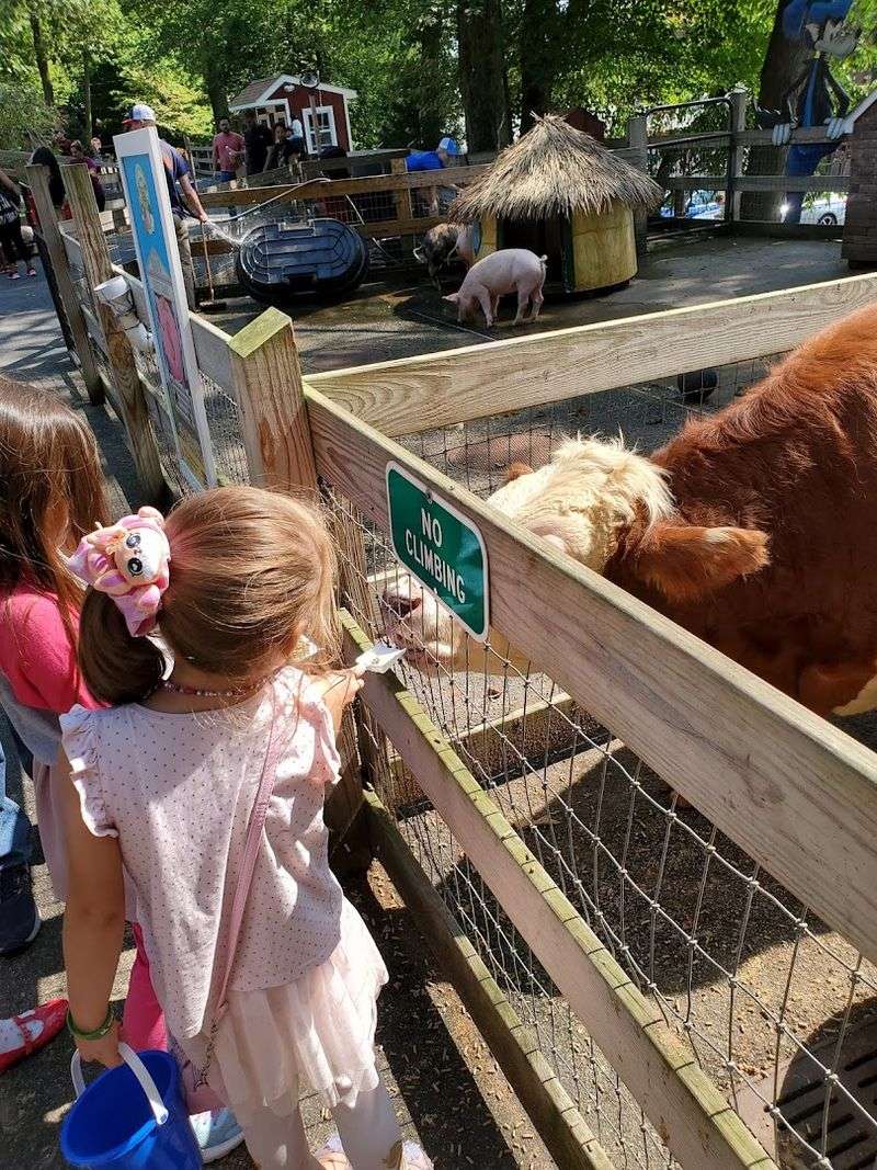 The Barnyard Petting Zoo Lineup