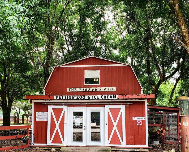 The Petting Zoo That Steals the Show