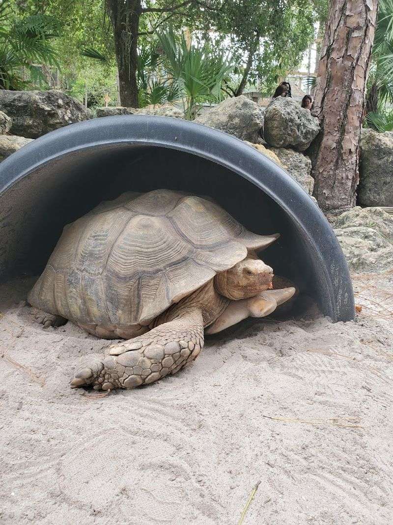 Clean, Shaded, and Thoughtfully Maintained Grounds