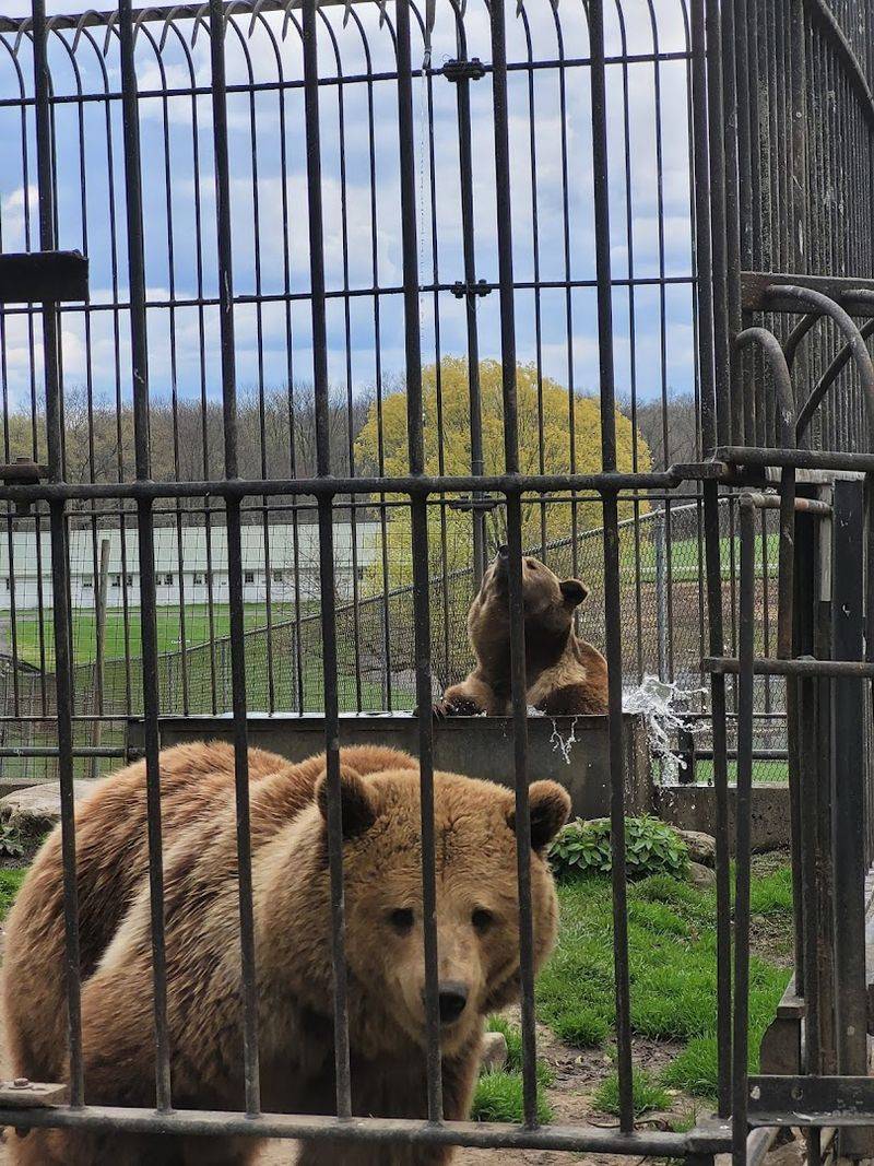 The Animals That Make This Place Stand Out