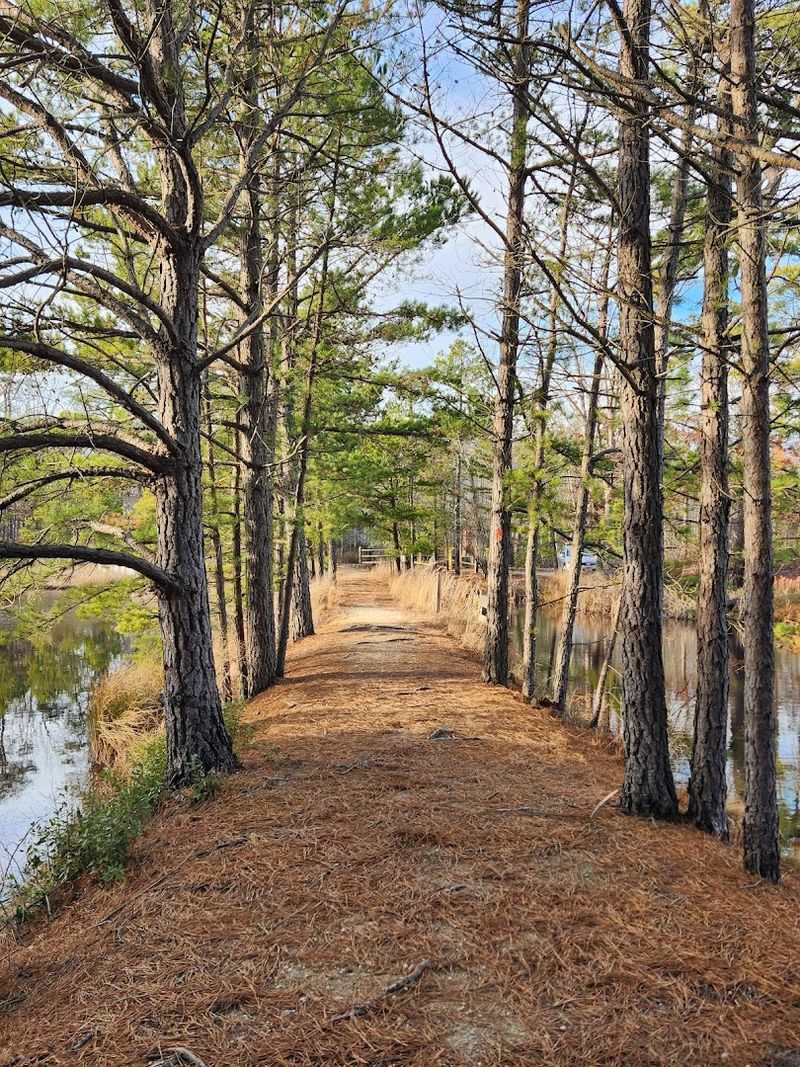 The Trail System and What to Expect Underfoot