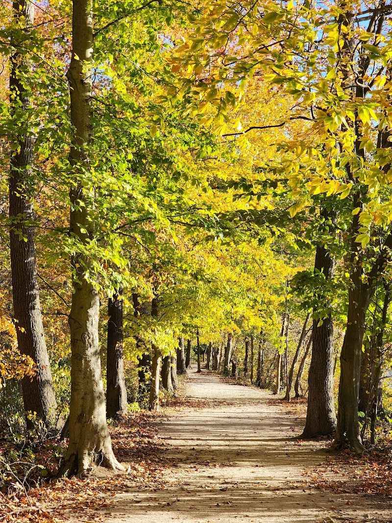 Trails That Deliver Without Demanding Too Much