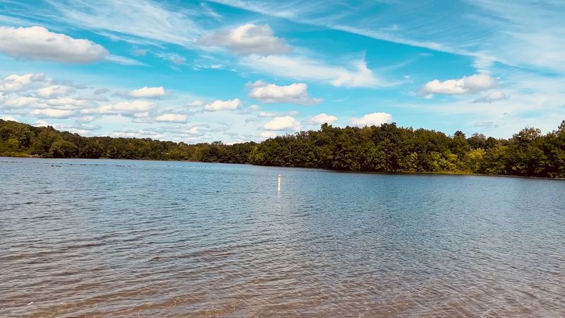 Fishing the Lakes: What to Expect