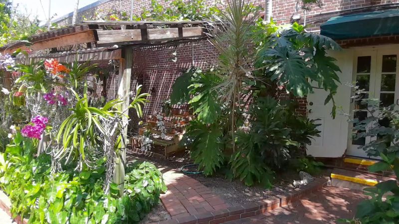 The Garden Club Behind It All