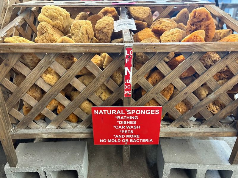 Natural Sponges Straight from the Gulf of Mexico