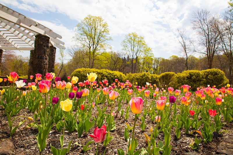 Best Times to Visit and What to Expect