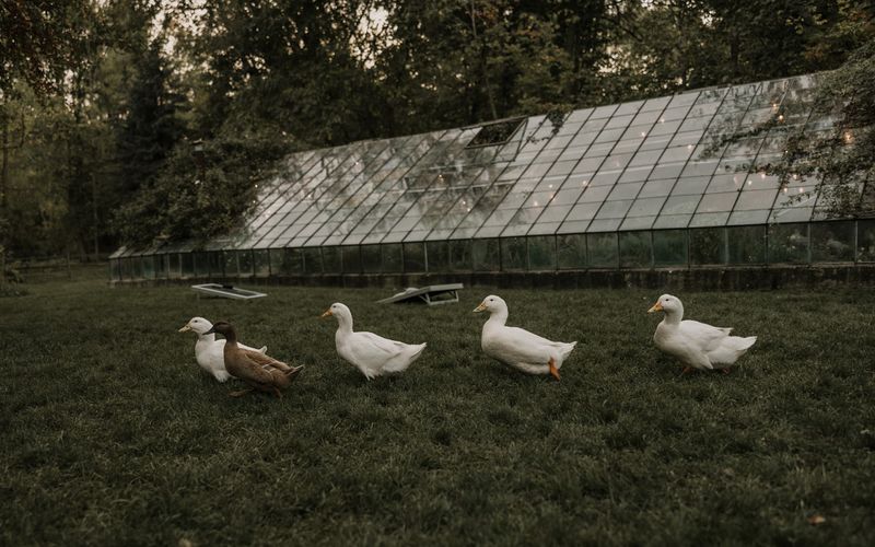 The Grounds That Stop Guests in Their Tracks