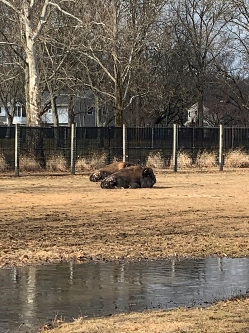 Tips for Getting the Most Out of Your Visit