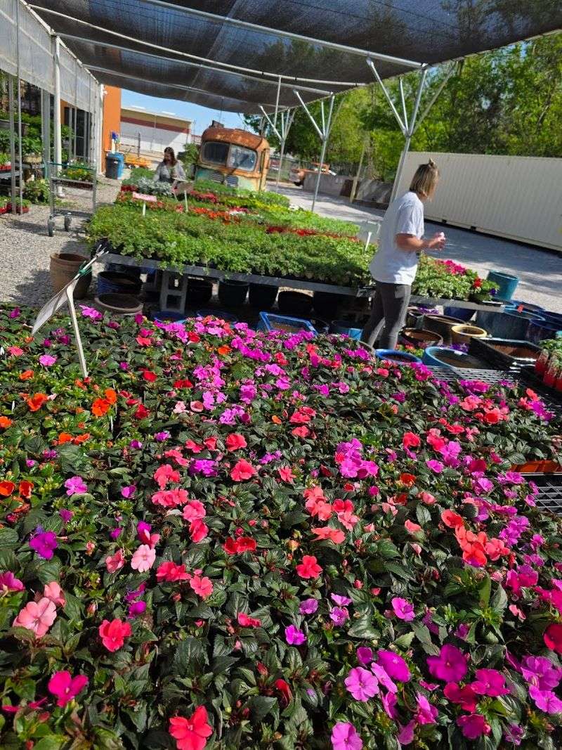 Tips for Planning Your Visit