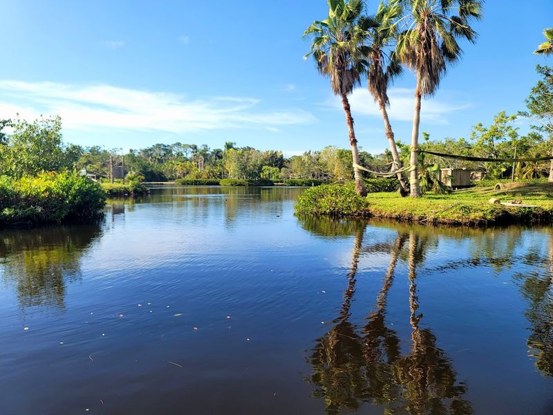 The Primate Cruise: Monkeys, Islands, and a Boat Ride You Will Not Forget