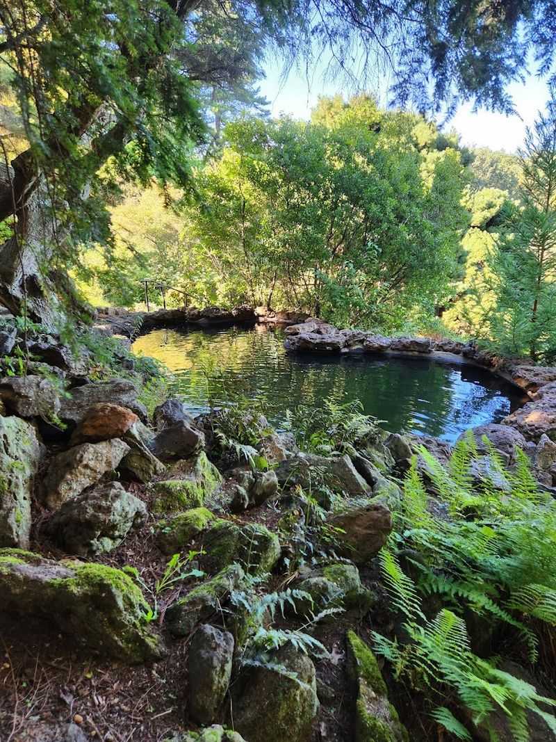 The Japanese Garden Section