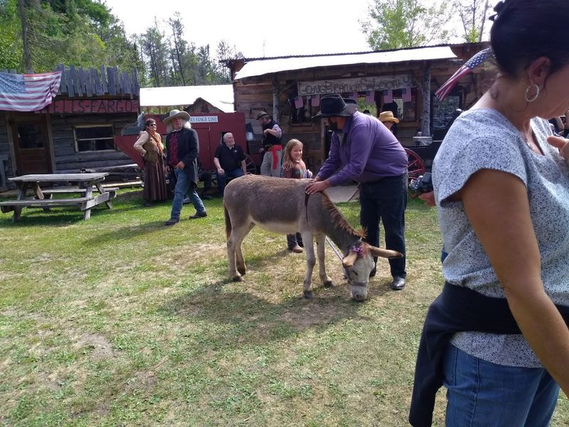 Perfect for Families: Why Kids Love This Place Too