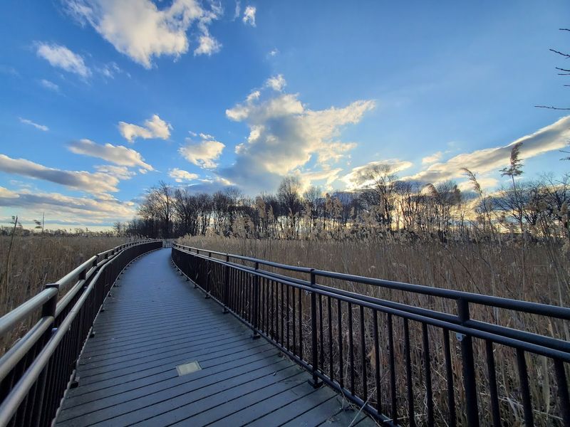 The Loop Trail and What to Expect Underfoot