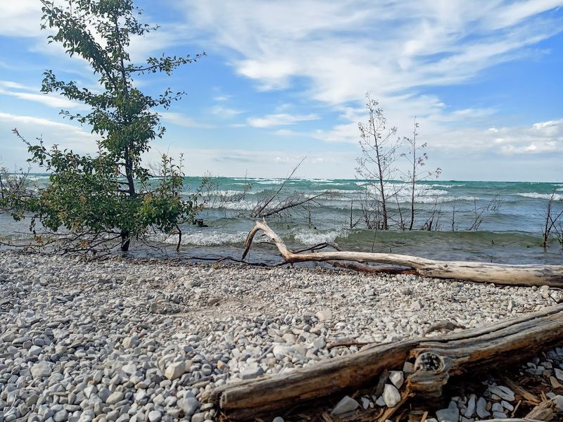 The Soundtrack Is Mostly Wind and Water