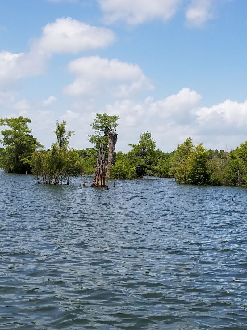 Bass Fishing That Anglers Cannot Stop Talking About