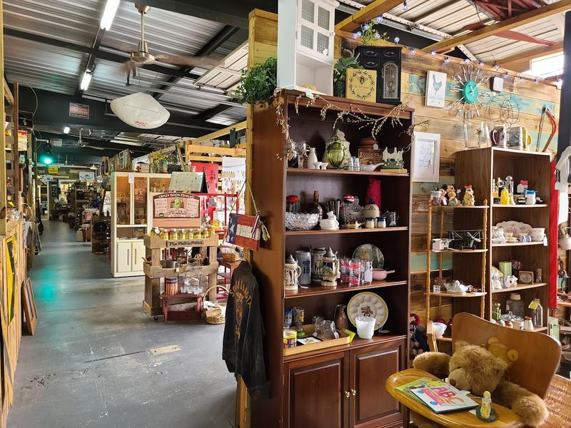 The Sheer Variety of What You Will Find