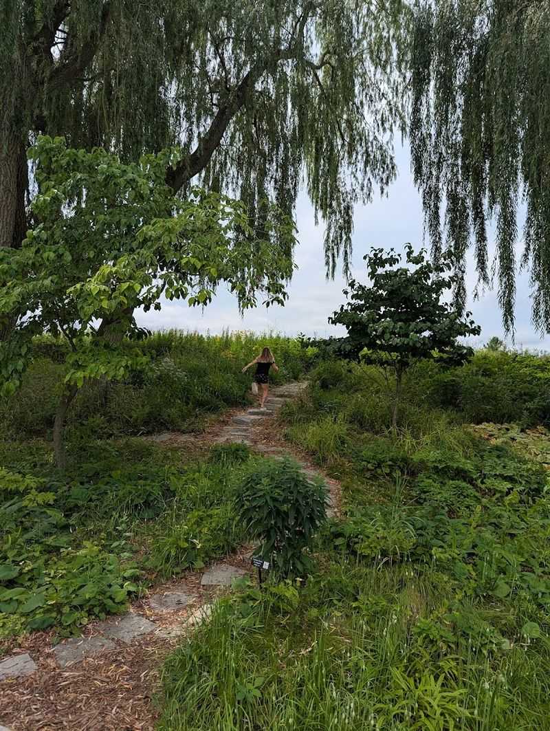 Native Prairie Sections That Change With Every Season