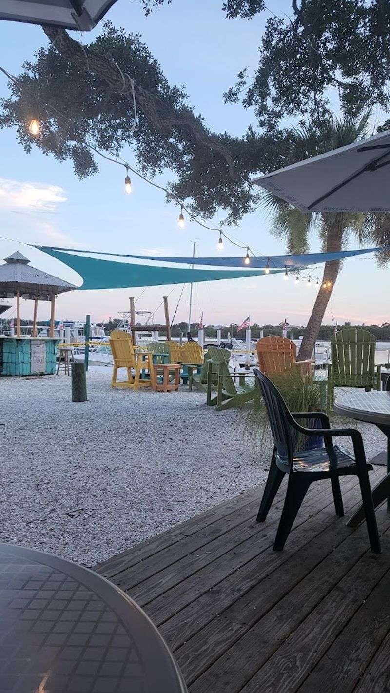 Wildlife, Nature, and the Full Florida Experience