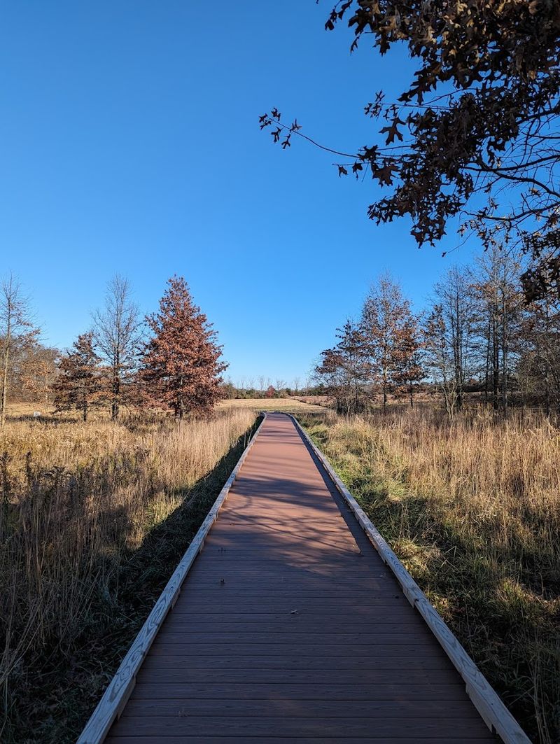 Trails That Keep Things Accessible