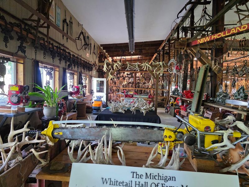 Inside the Antler-Filled Galleries