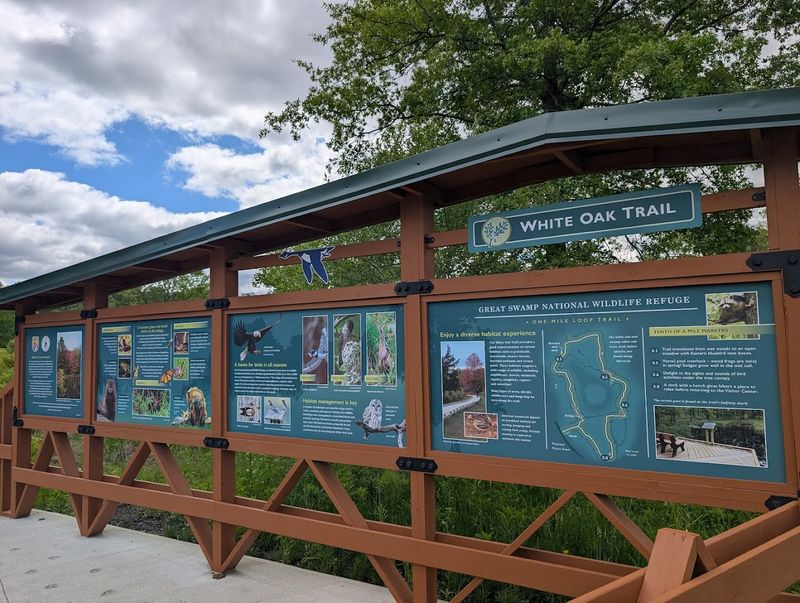 Planning Your Visit Like a Pro