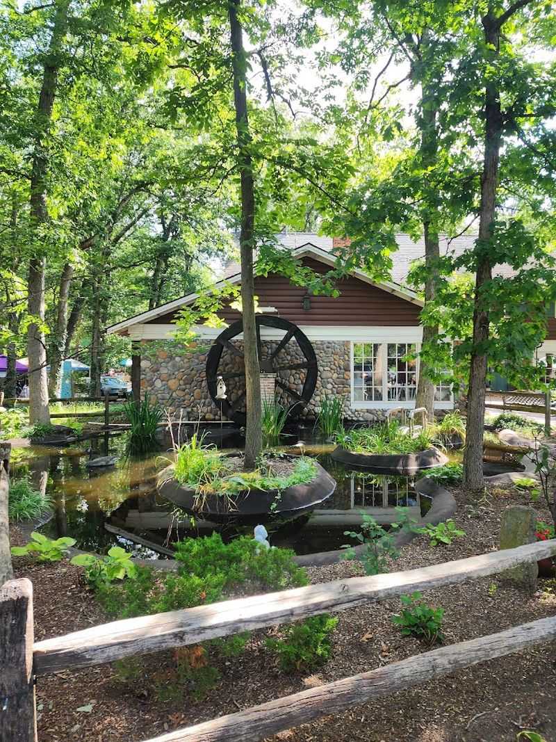 The Forest Paths That Surround the Village