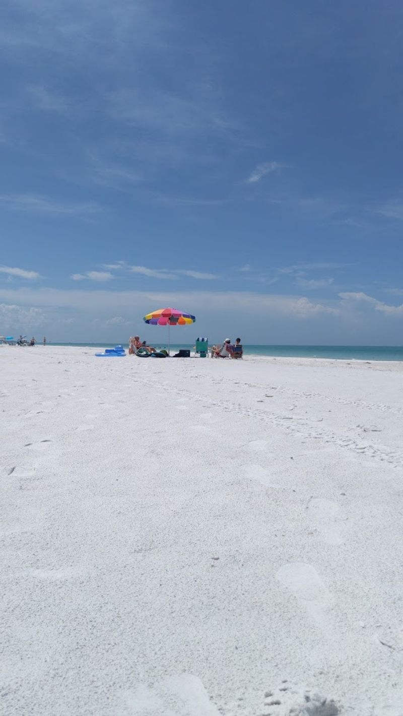 Sea Turtle Protection and Environmental Awareness