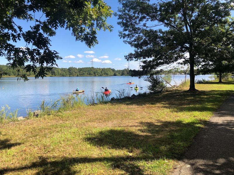 The Lake Changes Everything