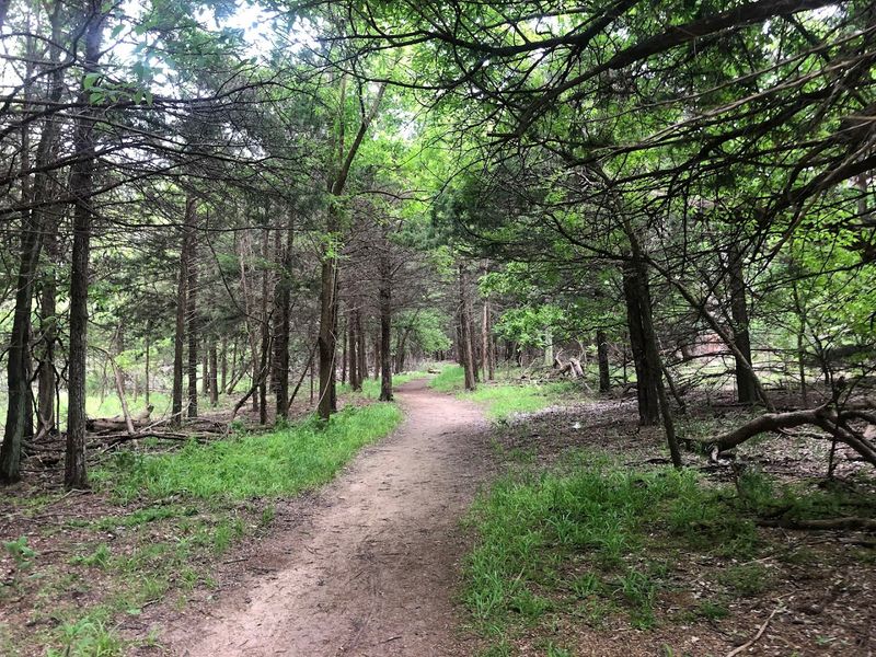 Trail Life: Hiking Through 820 Acres of Unexpected Terrain