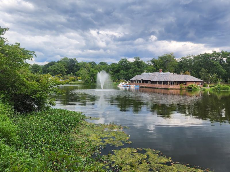 The Lake That Anchors Everything