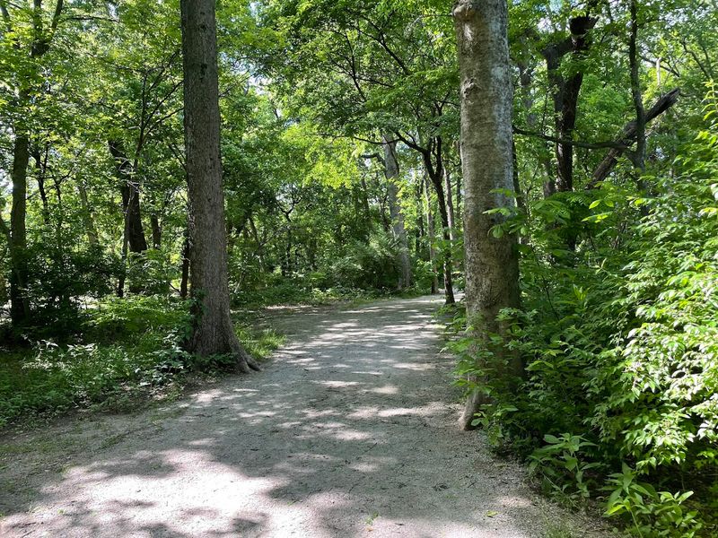 Planning Your Visit: Hours, Tips, and What to Bring