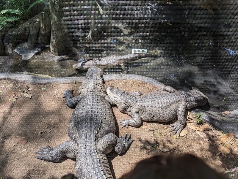 The Bergen County Zoo: Small in Size, Big on Character